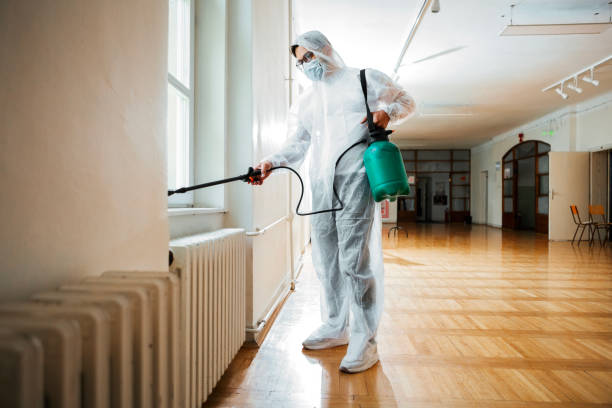 Trusted Franklin, KY Pest Control Experts